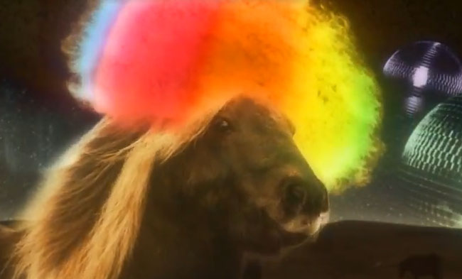 A pony wearing an Afro dancing to "Play That Funky White Boy".